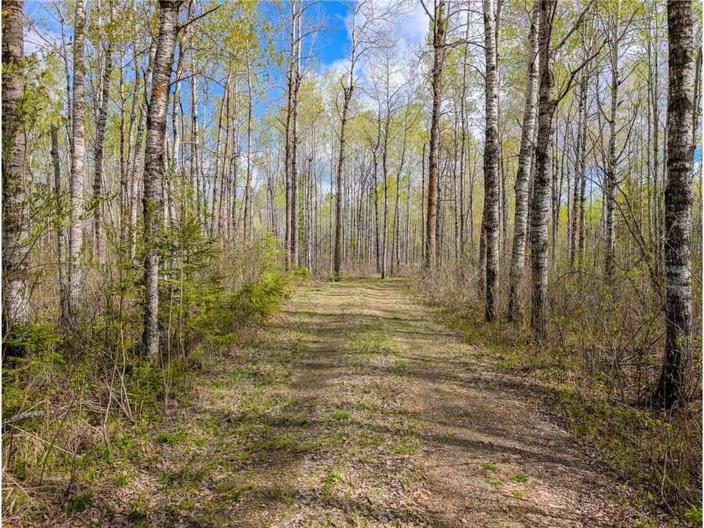 992 Nemadji River Road Holyoke Twp MN 55749 - Nemadji River 7078635 image26