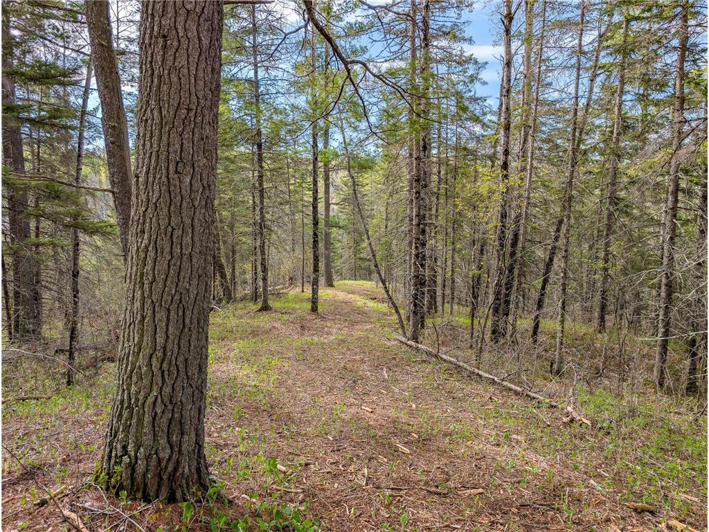 992 Nemadji River Road Holyoke Twp MN 55749 - Nemadji River 7078635 image5