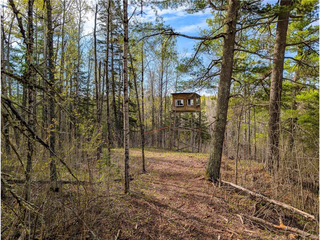 992 Nemadji River Road Holyoke Twp MN 55749 - Nemadji River 7078635 image7
