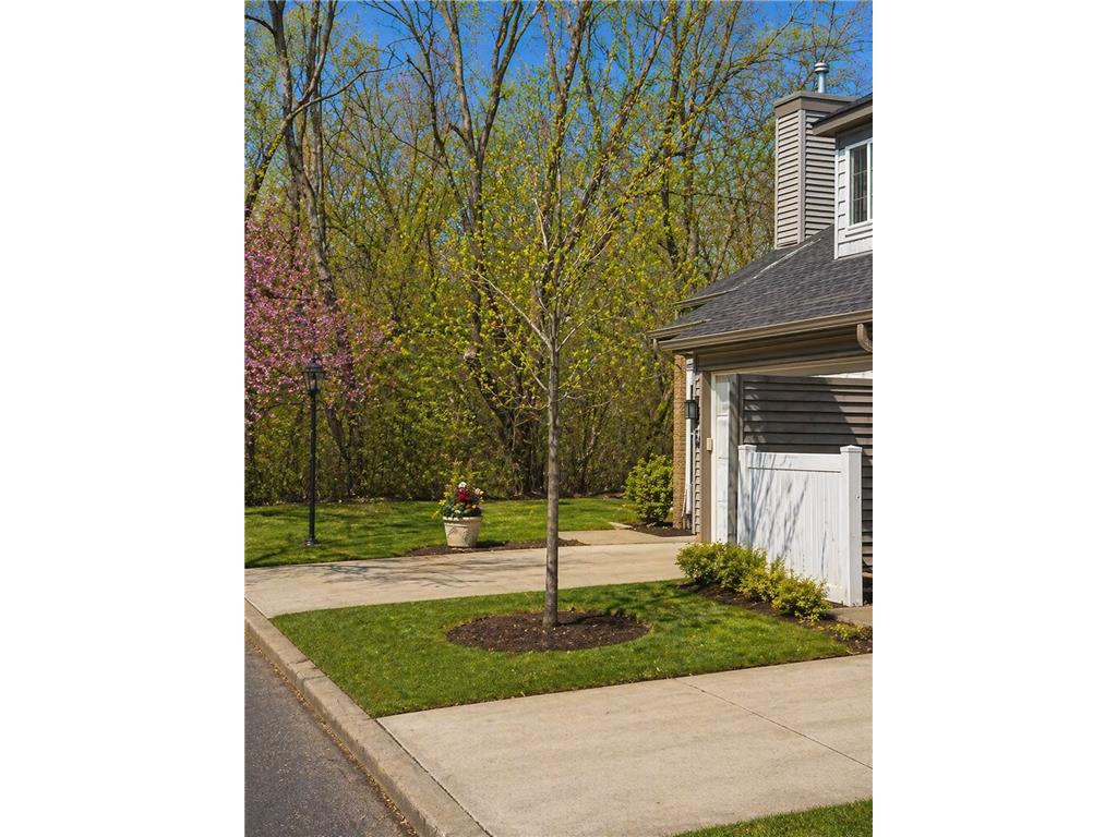 9935 Russell Avenue N #7 Brooklyn Park MN 55444 7032781 image3