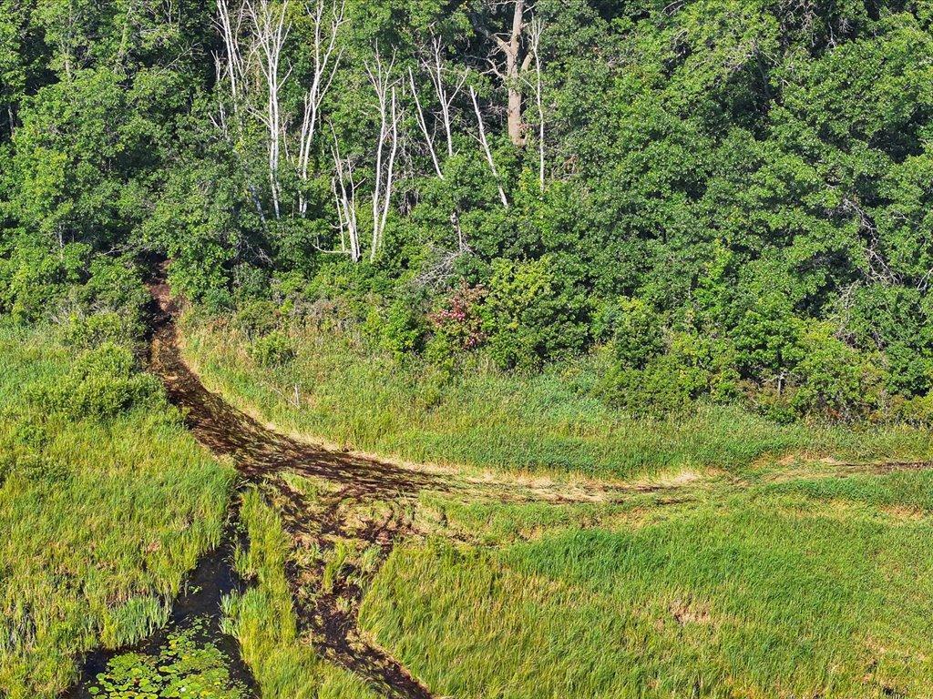 9936 Oakridge Road Long Lake Twp MN 56401 - Buffalo Creek 6802717 image35