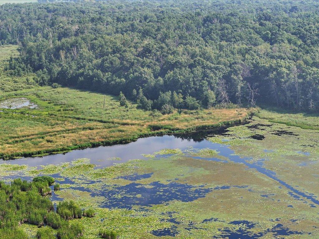 9936 Oakridge Road Long Lake Twp MN 56401 - Buffalo Creek 6802717 image36