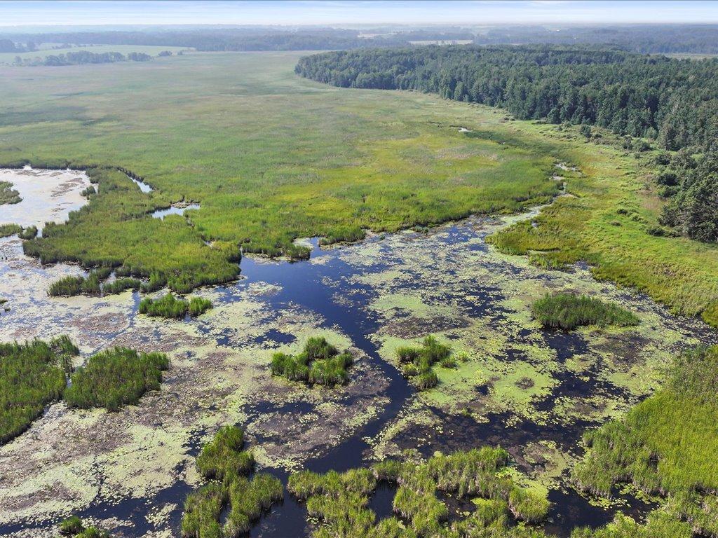 9936 Oakridge Road Long Lake Twp MN 56401 - Buffalo Creek 6802717 image37