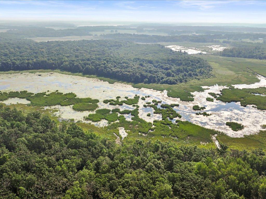 9936 Oakridge Road Long Lake Twp MN 56401 - Buffalo Creek 6802717 image45