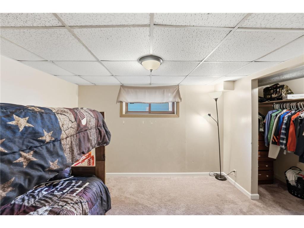 9939 284th Avenue NW Baldwin Twp MN 55398 - Sandy 7073558 image30