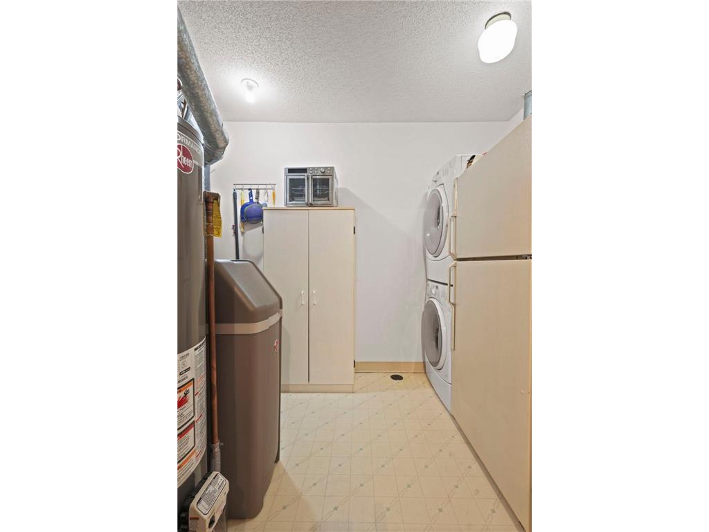 9949 Tamarack Cove Woodbury MN 55125 7048951 image19