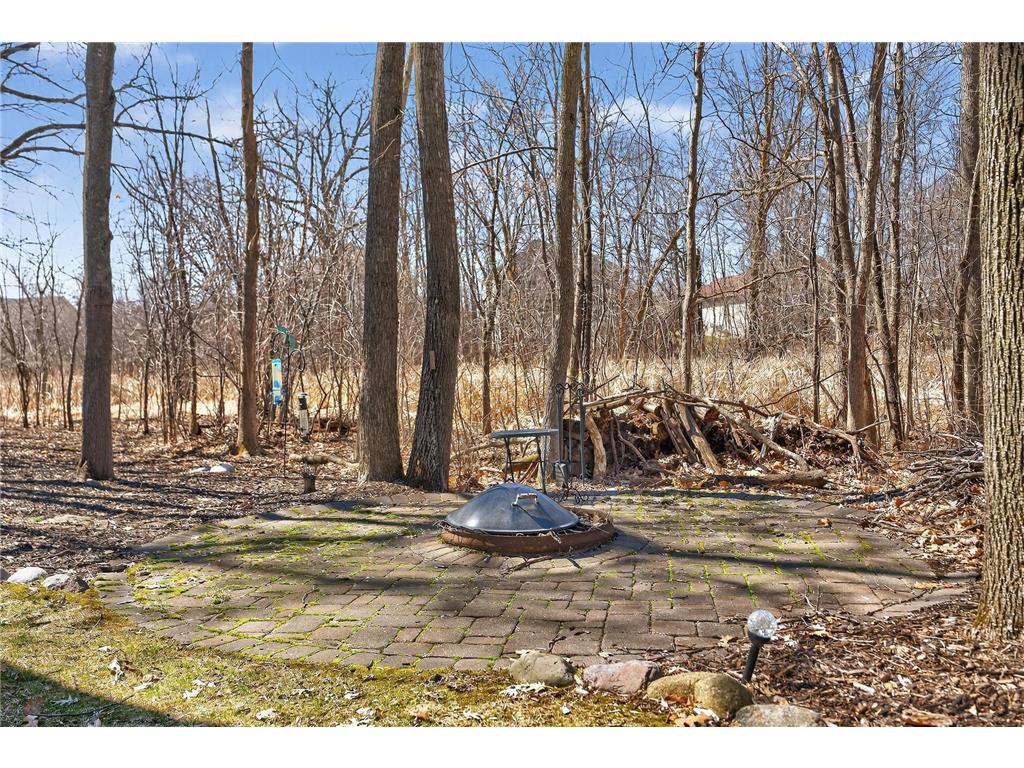 9951 Vagabond Court N Maple Grove MN 55311 7032828 image82