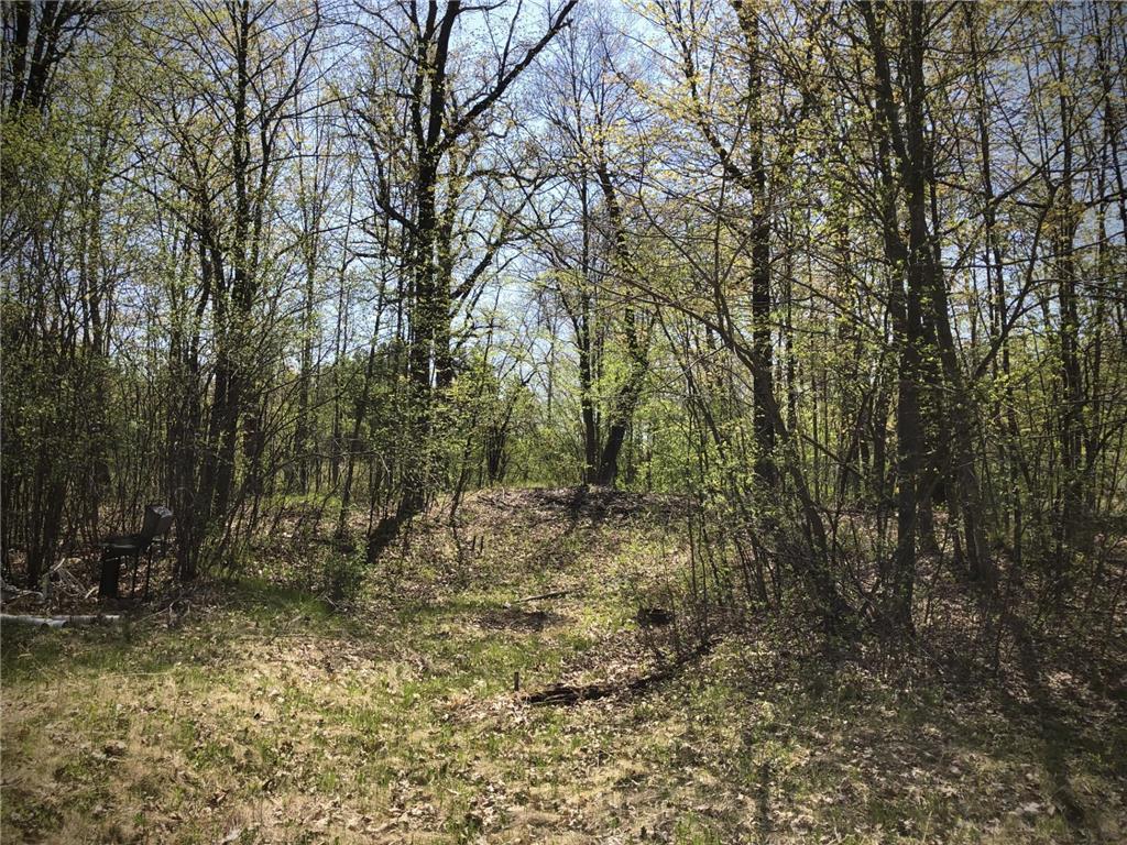 9953 Riverbed Road Royalton Twp MN 55063 - Snake River 6718622 image1