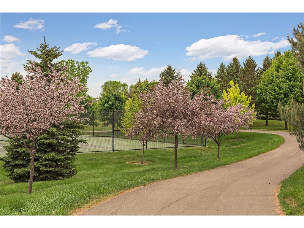 9954 Wellington Lane Woodbury MN 55125 7013865 image80