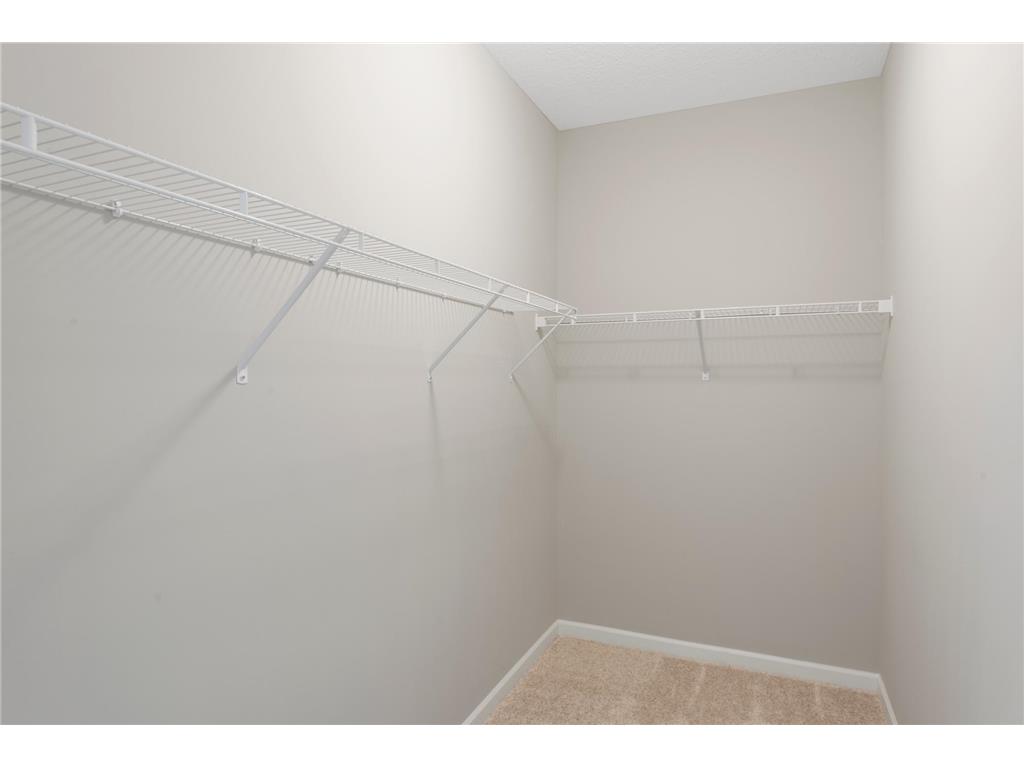 9957 Mulberry Lane Corcoran MN 55374 7030026 image20
