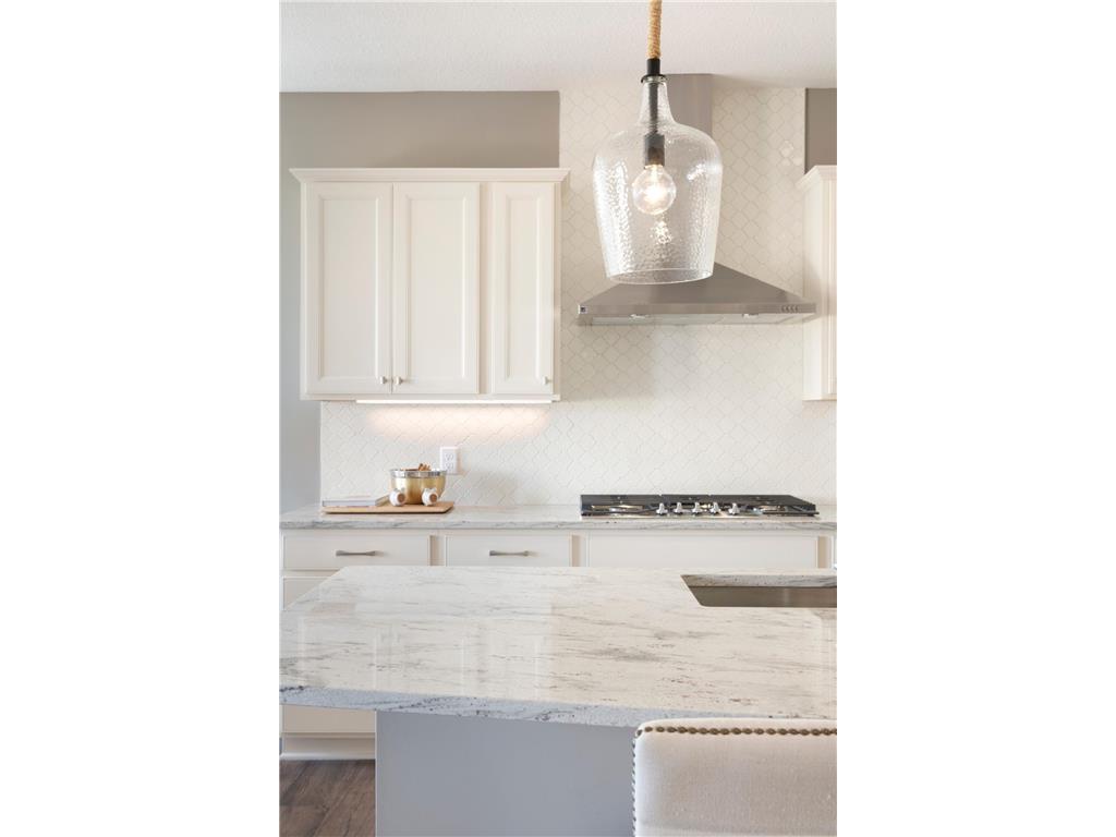 9961 Jack Pine Lane Corcoran MN 55374 6819763 image6