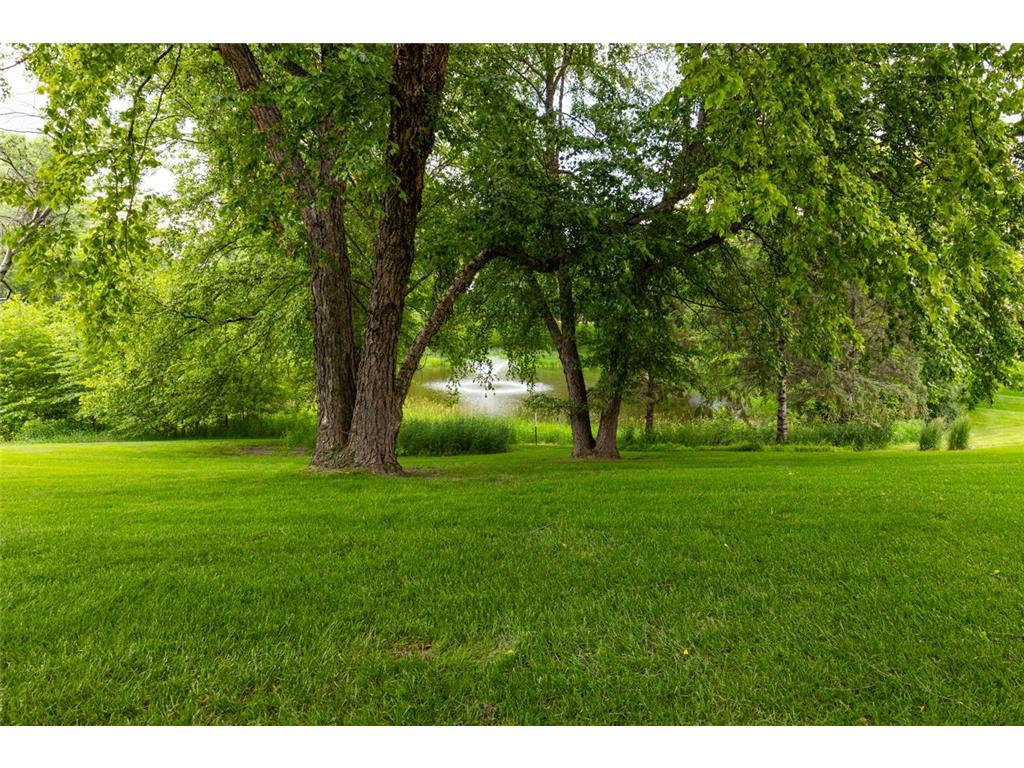 9974 Old Wagon Trail Eden Prairie MN 55347 7097158 image50