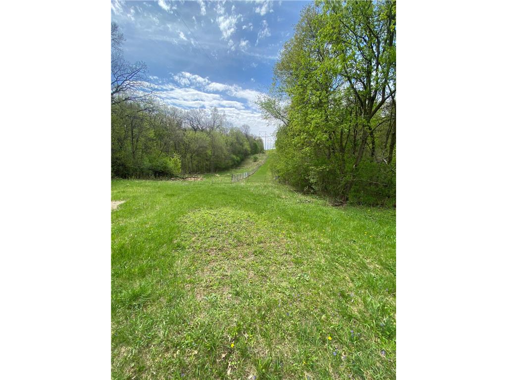 9980 Arkansas Path Inver Grove Heights MN 55077 7068887 image19