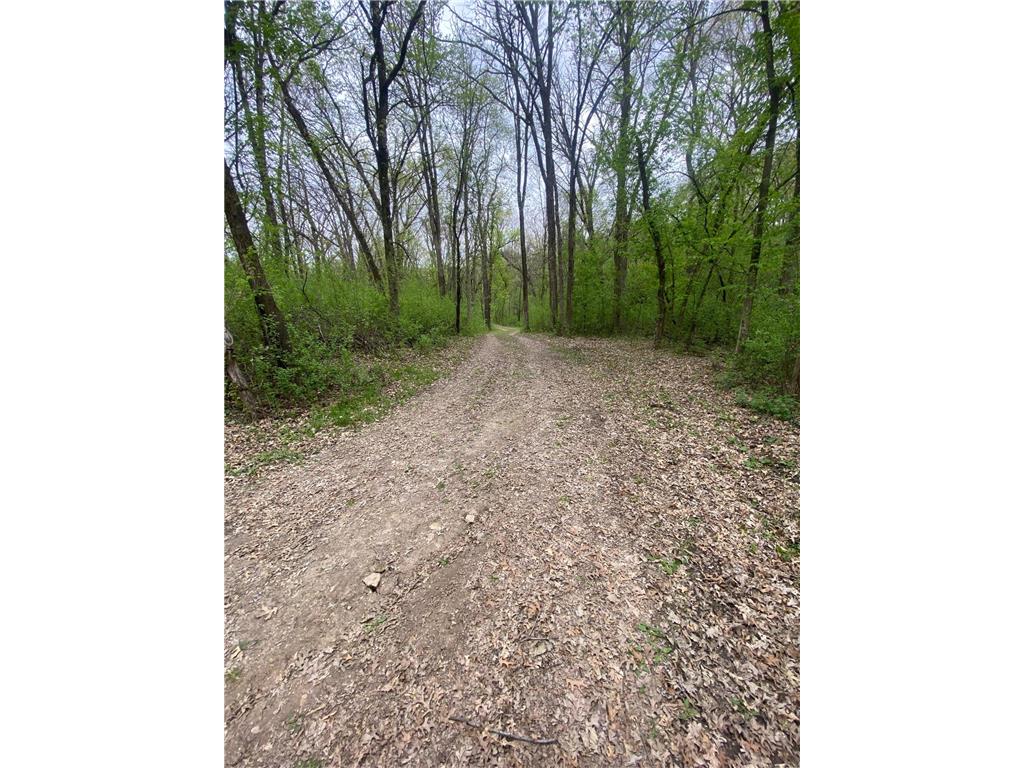 9980 Arkansas Path Inver Grove Heights MN 55077 7068887 image8