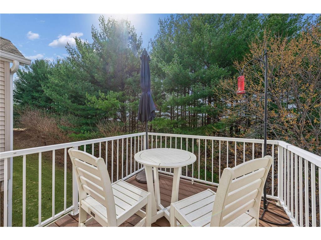 9980 Indigo Drive Eden Prairie MN 55347 7048003 image28