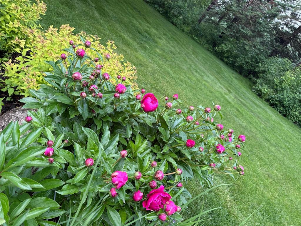 9983 Arcola Court N Stillwater Twp MN 55082 - St Croix River 7027195 image44