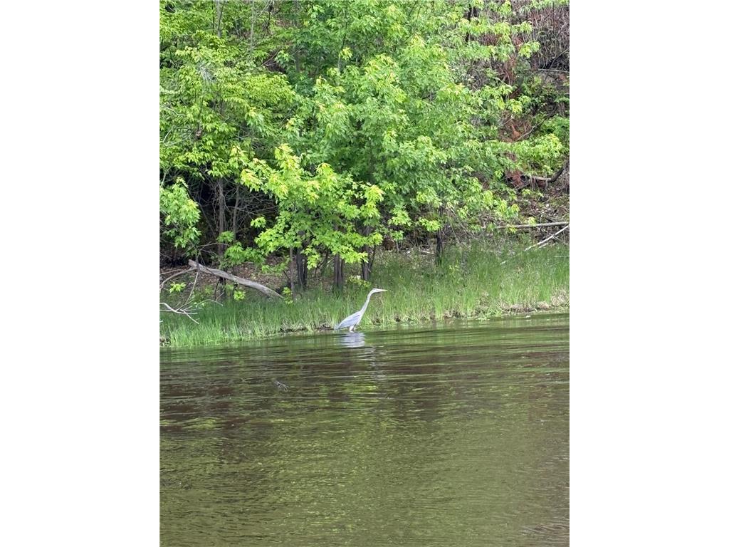 9983 Arcola Court N Stillwater Twp MN 55082 - St Croix River 7027195 image50