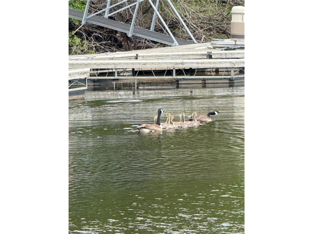 9983 Arcola Court N Stillwater Twp MN 55082 - St Croix River 7027195 image51