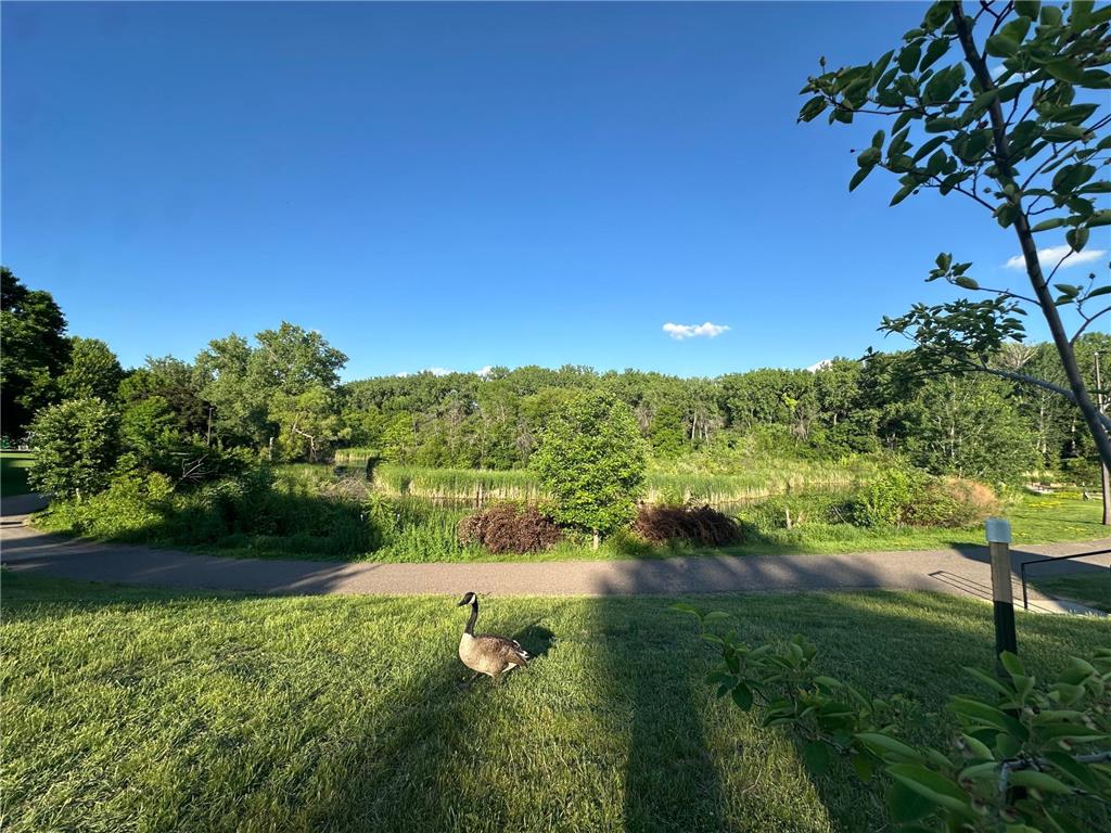 999 41st Avenue NE #212 Columbia Heights MN 55421 7088375 image30