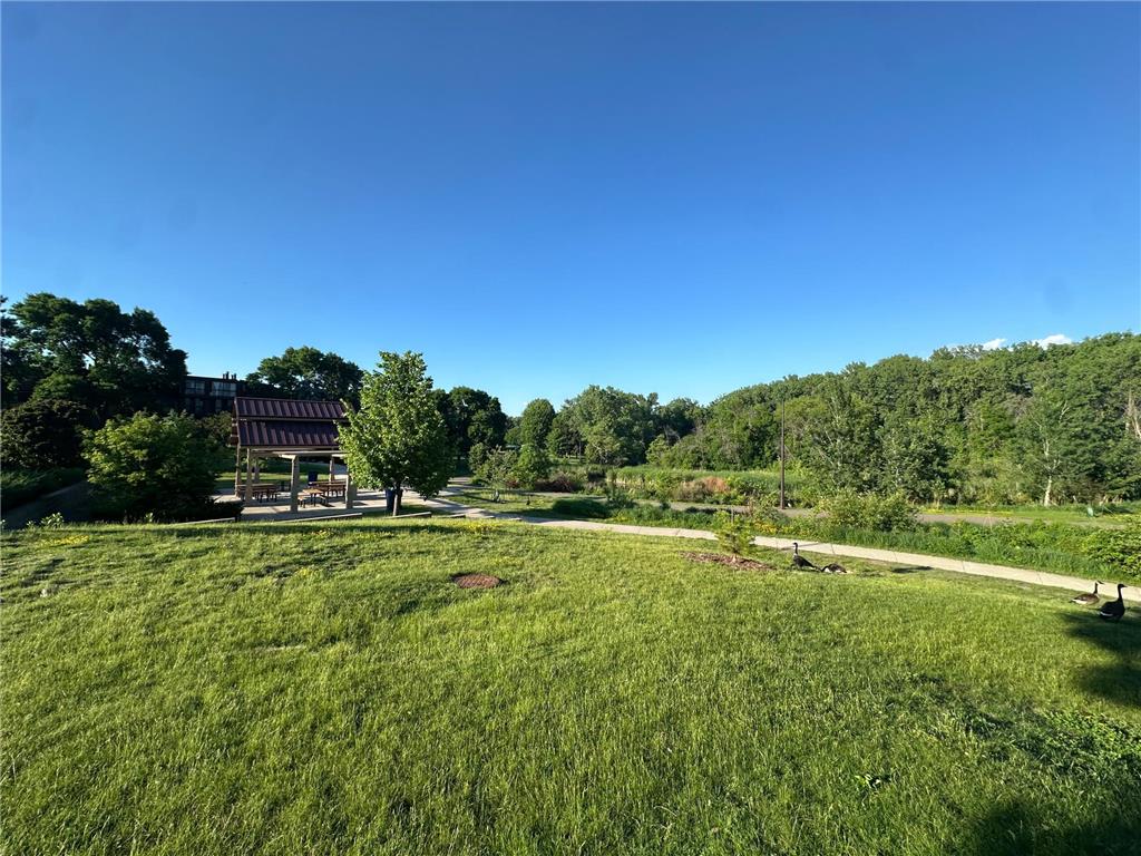 999 41st Avenue NE #212 Columbia Heights MN 55421 7088375 image31