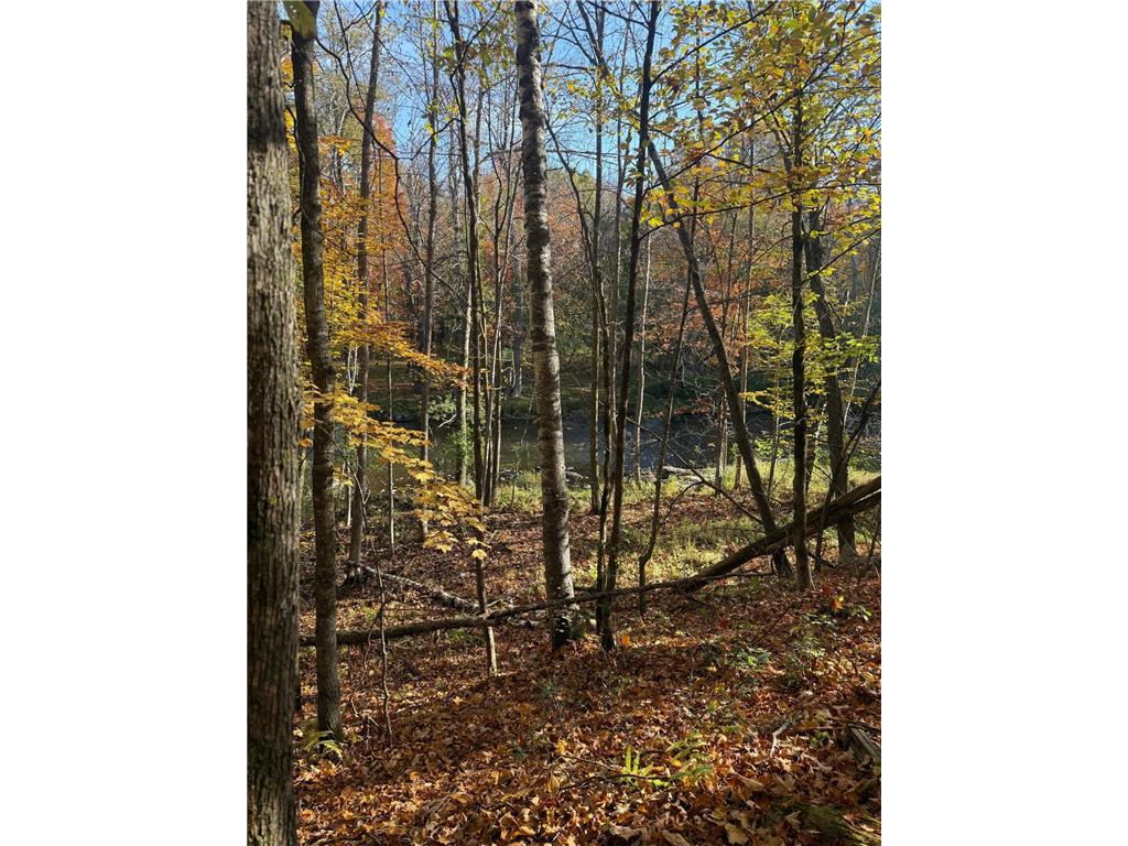 999 Porcupine Trail Aitkin MN 56431 - Ripple River 6799902 image10