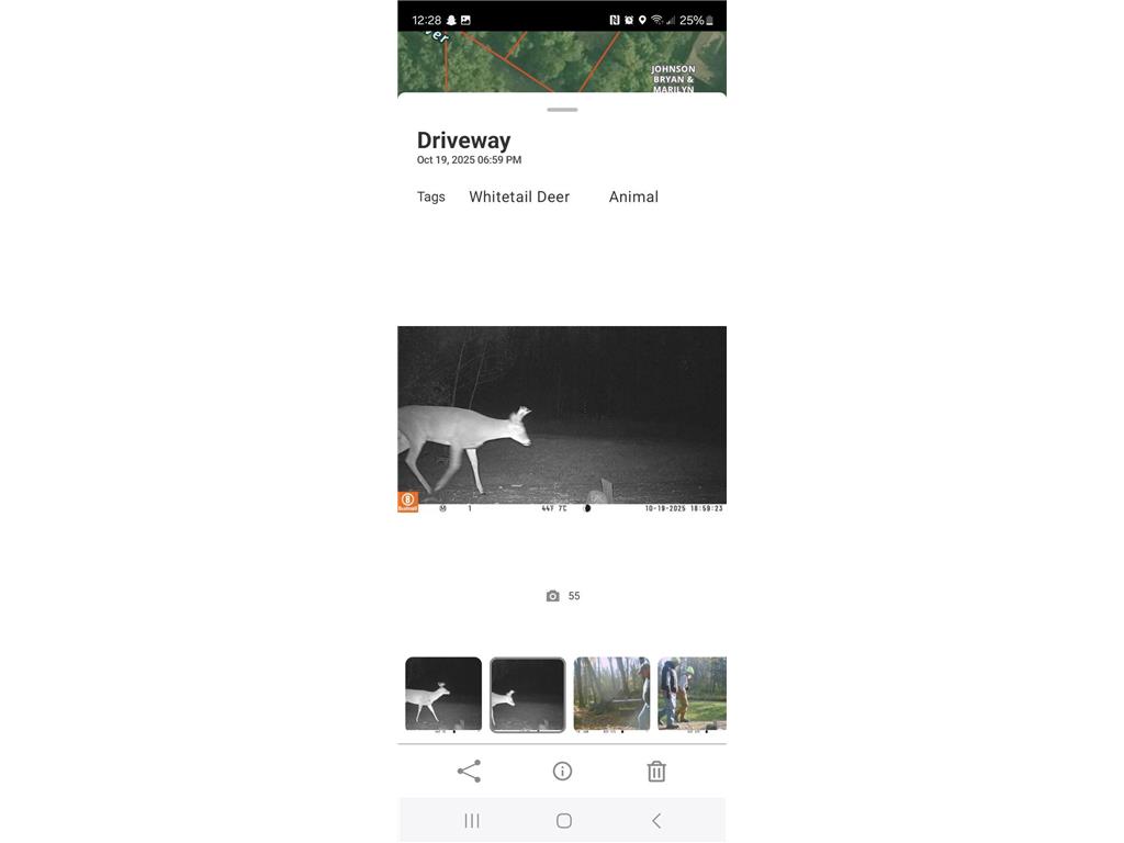 999 Porcupine Trail Aitkin MN 56431 - Ripple River 6799902 image16