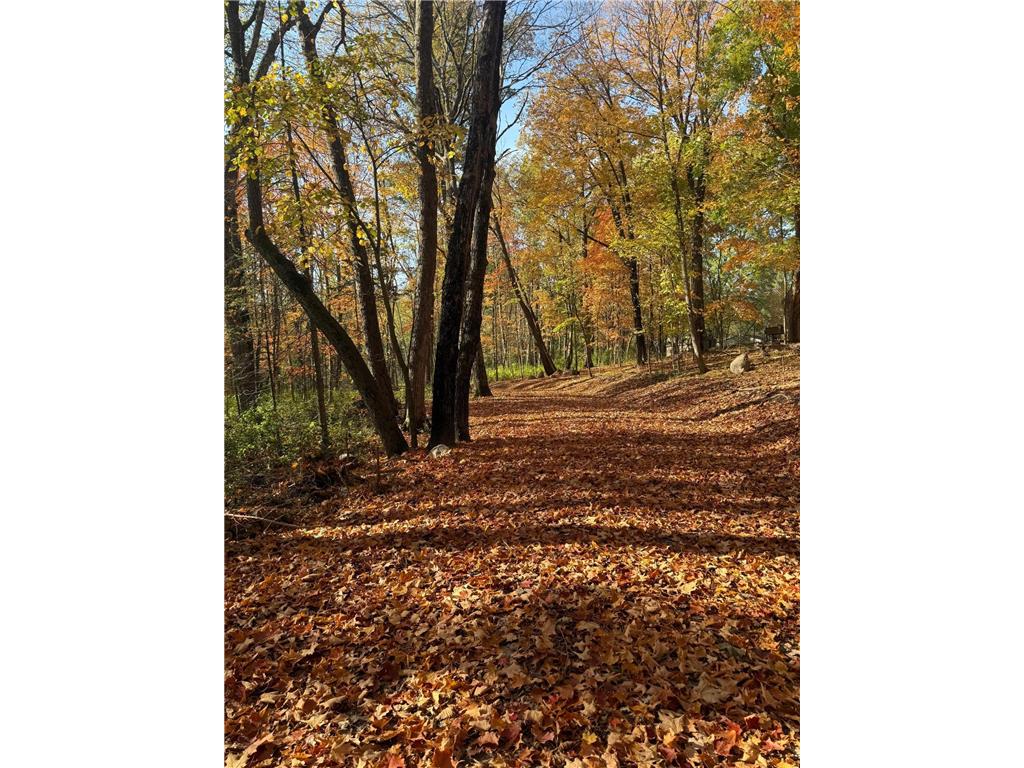 999 Porcupine Trail Aitkin MN 56431 - Ripple River 6799902 image2