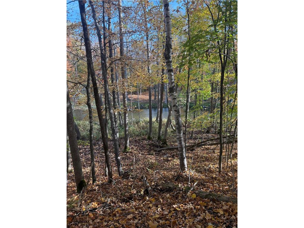 999 Porcupine Trail Aitkin MN 56431 - Ripple River 6799902 image4