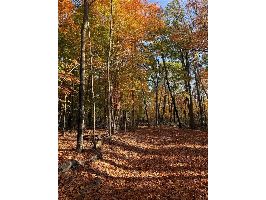 999 Porcupine Trail Aitkin MN 56431 - Ripple River 6799902 image5