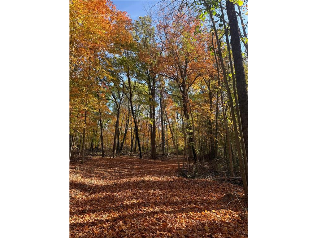 999 Porcupine Trail Aitkin MN 56431 - Ripple River 6799902 image6