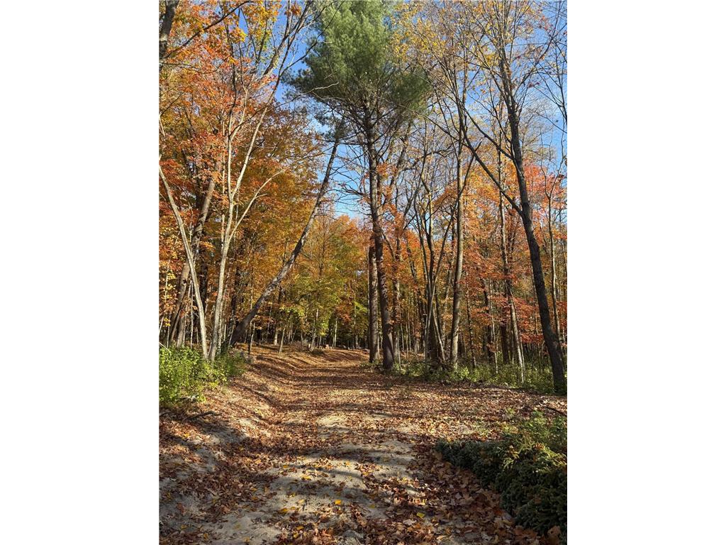 999 Porcupine Trail Aitkin MN 56431 - Ripple River 6799902 image7