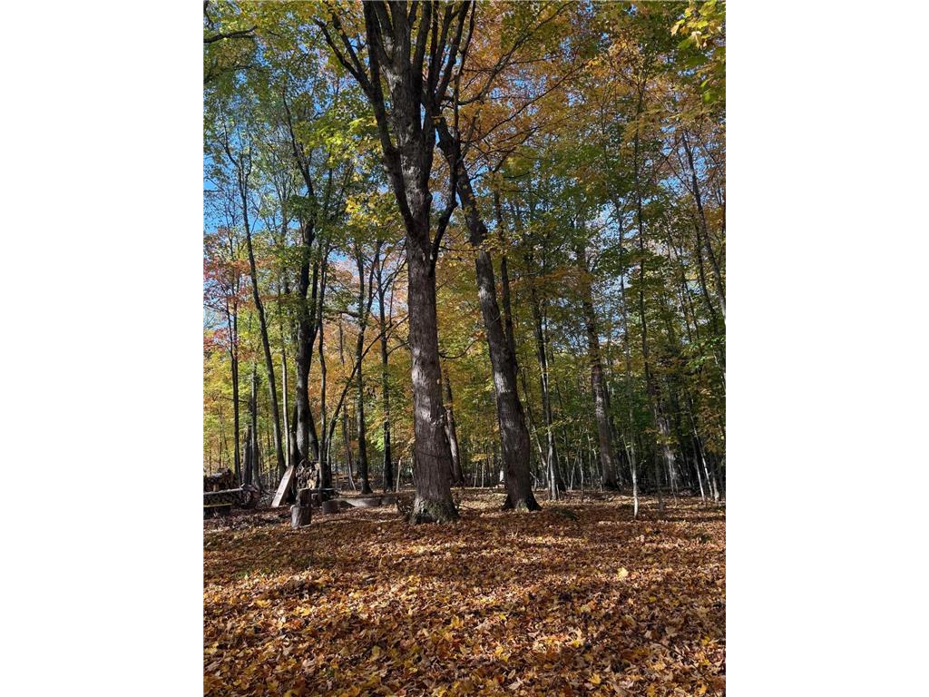 999 Porcupine Trail Aitkin MN 56431 - Ripple River 6799902 image8