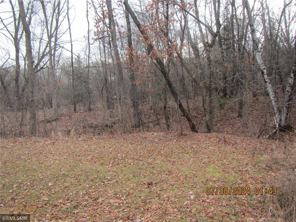 99XX N 206th Street N Forest Lake MN 55025 - Keewahtin 6485986 image1