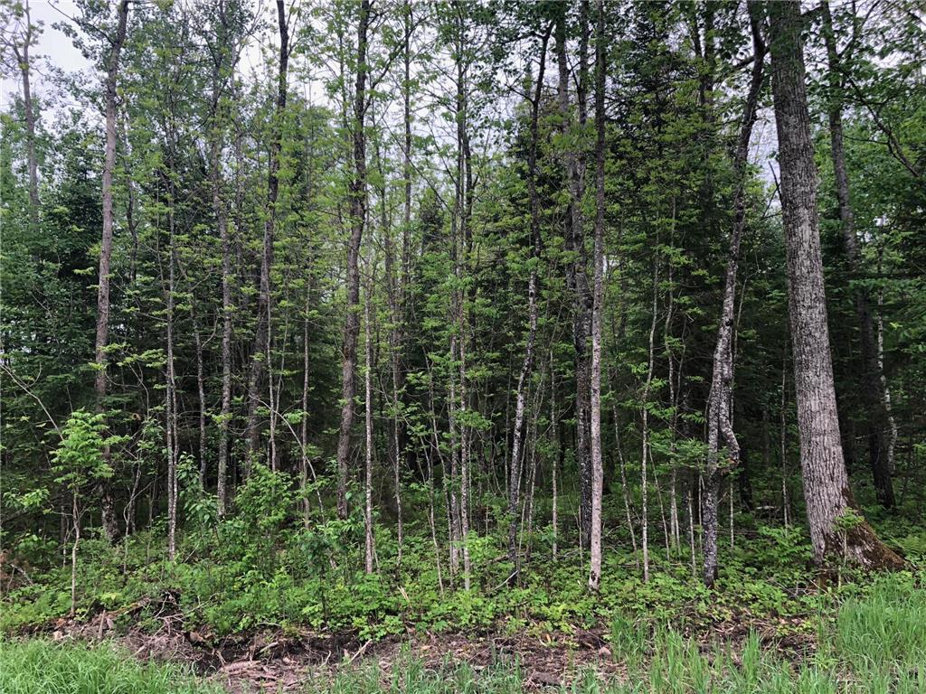 9a Hines Road NE Hines MN 56647 - Little Rabideau 7050511 image5