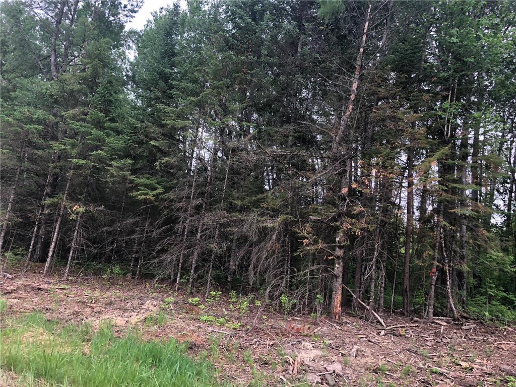 9a Hines Road NE Hines MN 56647 - Little Rabideau 7050511 image6