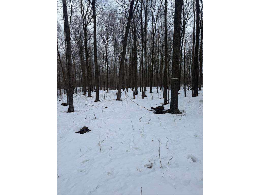 9th. 9th. St. Lakeland Twp WI 54813 7032034 image11
