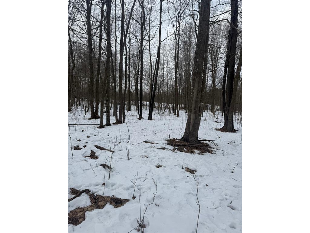 9th. 9th. St. Lakeland Twp WI 54813 7032034 image13