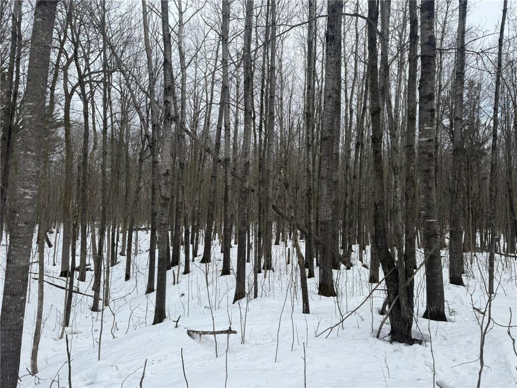 9th. 9th. St. Lakeland Twp WI 54813 7032034 image16