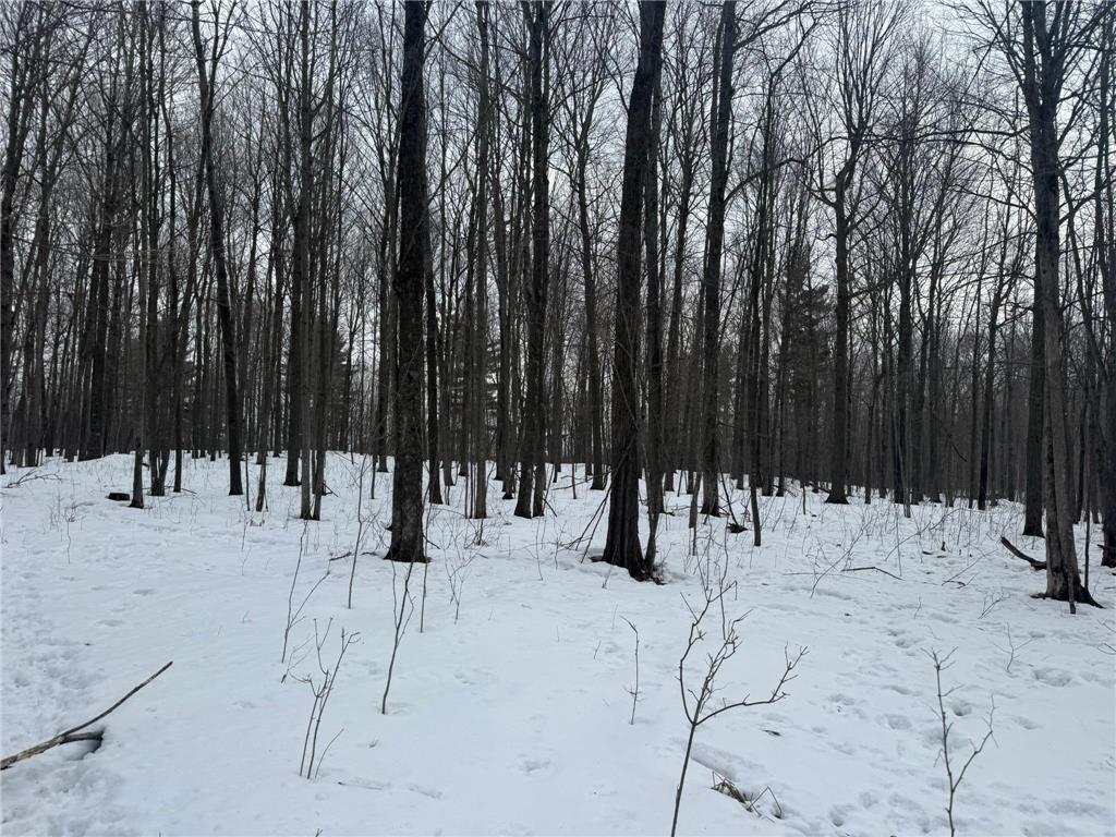 9th. 9th. St. Lakeland Twp WI 54813 7032034 image19