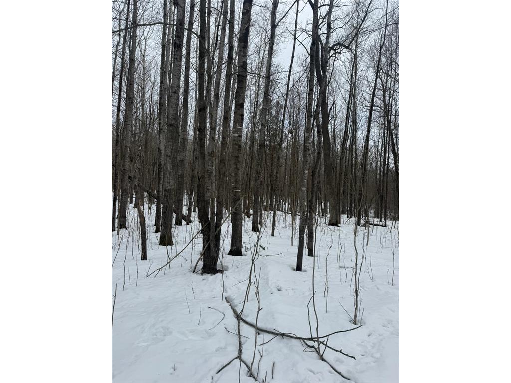 9th. 9th. St. Lakeland Twp WI 54813 7032034 image28
