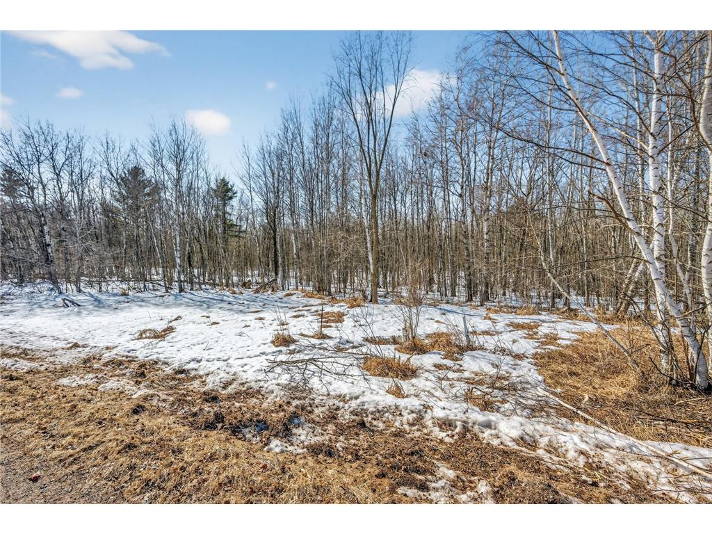 9th. 9th. St. Lakeland Twp WI 54813 7032034 image33
