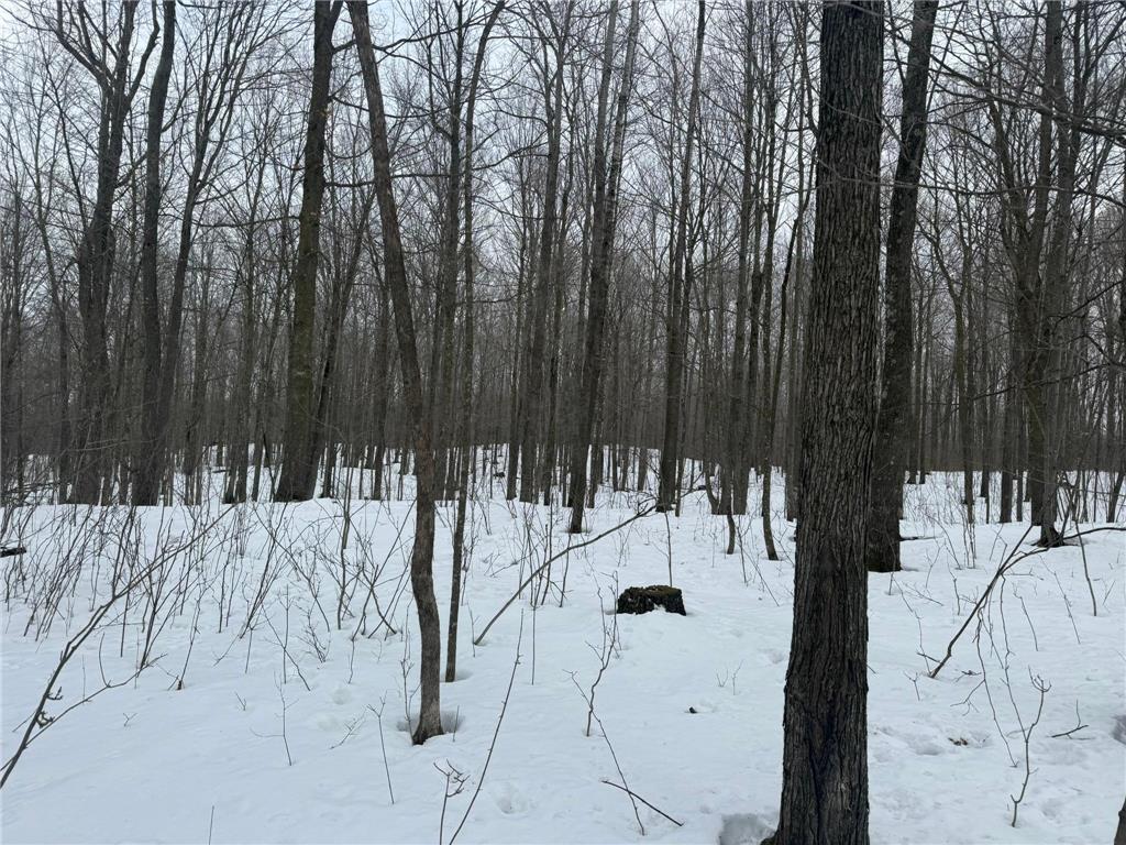 9th. 9th. St. Lakeland Twp WI 54813 7032034 image37