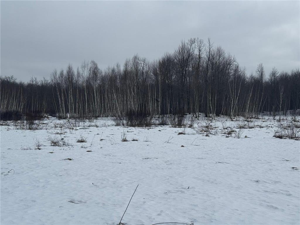 9th. 9th. St. Lakeland Twp WI 54813 7032034 image38
