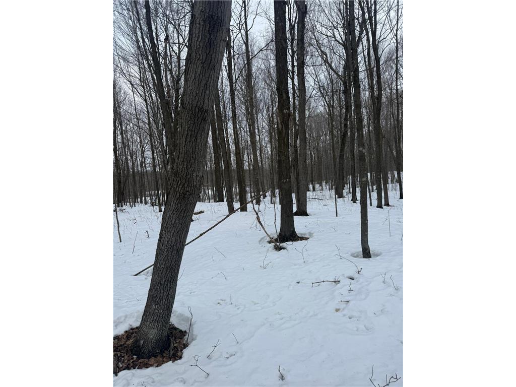 9th. 9th. St. Lakeland Twp WI 54813 7032034 image39