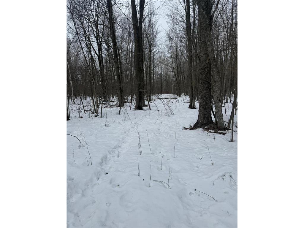 9th. 9th. St. Lakeland Twp WI 54813 7032034 image40