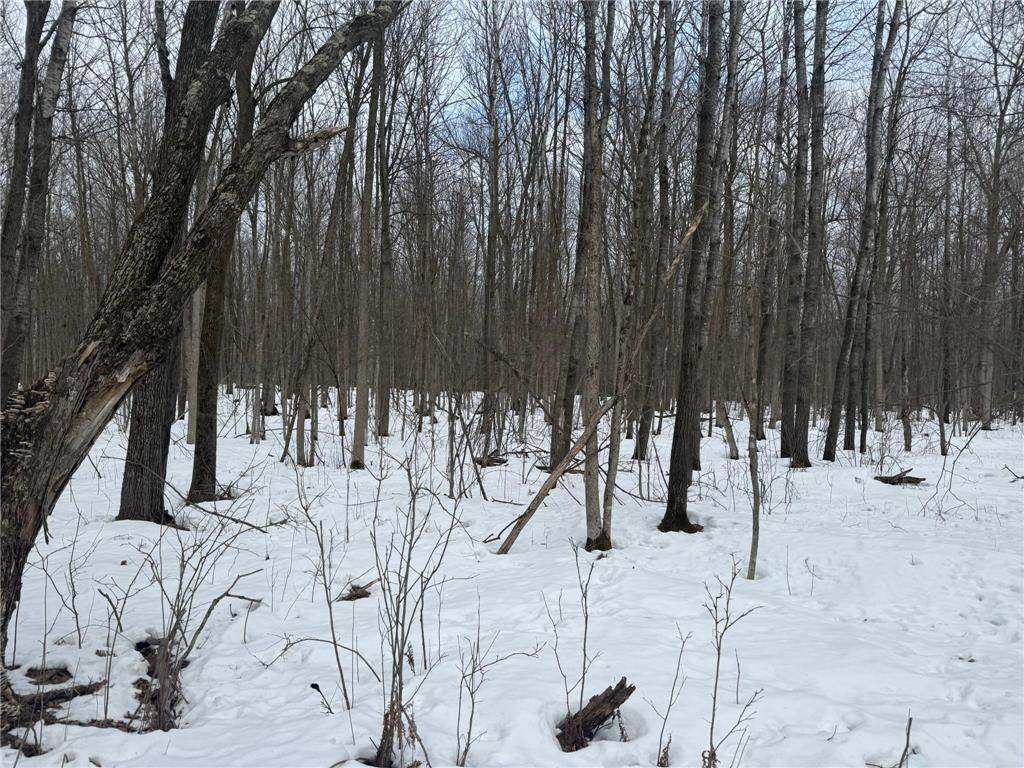 9th. 9th. St. Lakeland Twp WI 54813 7032034 image41
