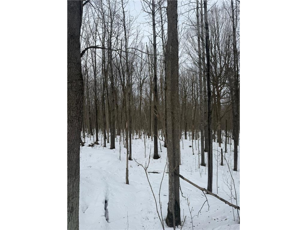 9th. 9th. St. Lakeland Twp WI 54813 7032034 image42