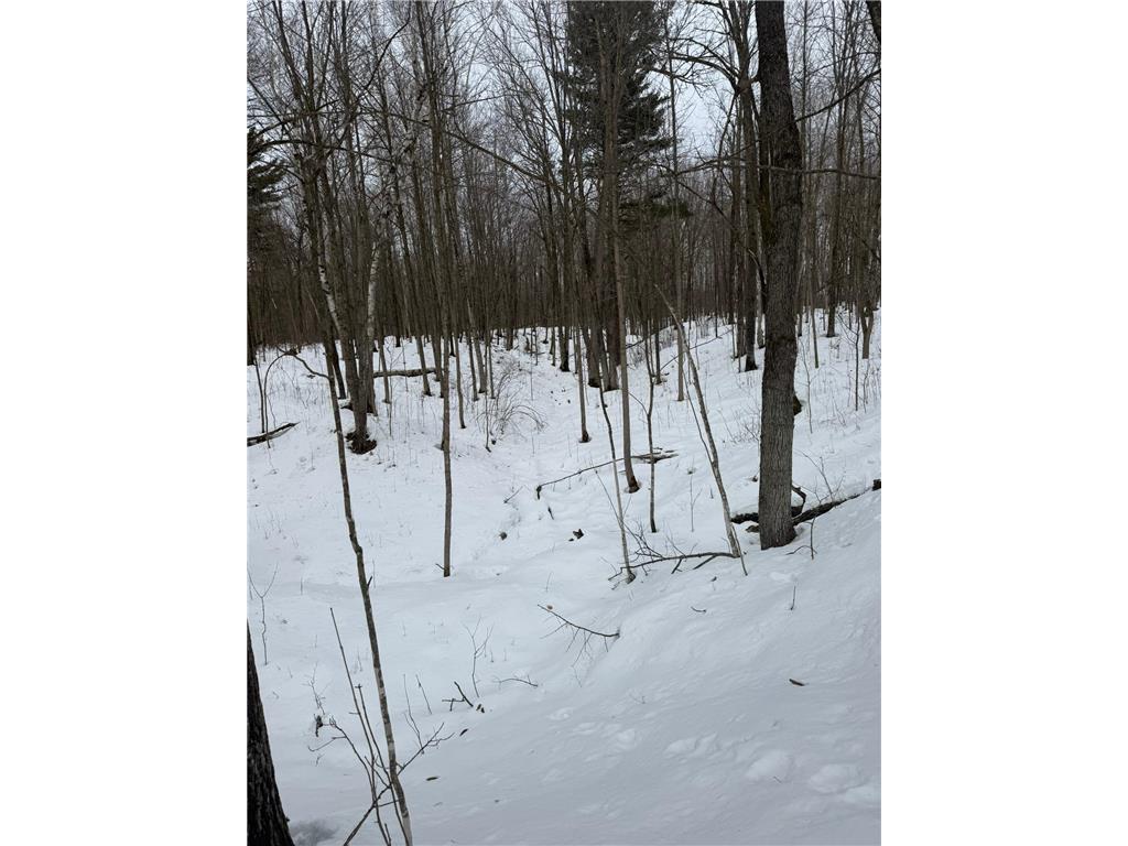 9th. 9th. St. Lakeland Twp WI 54813 7032034 image43