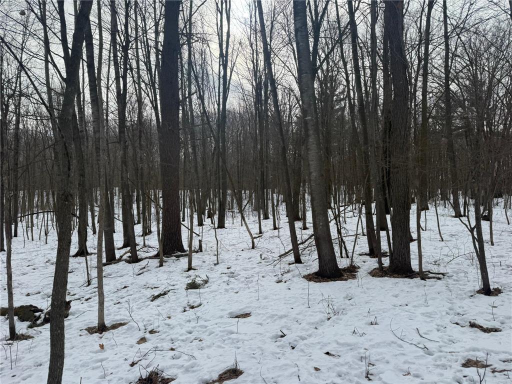 9th. 9th. St. Lakeland Twp WI 54813 7032034 image7