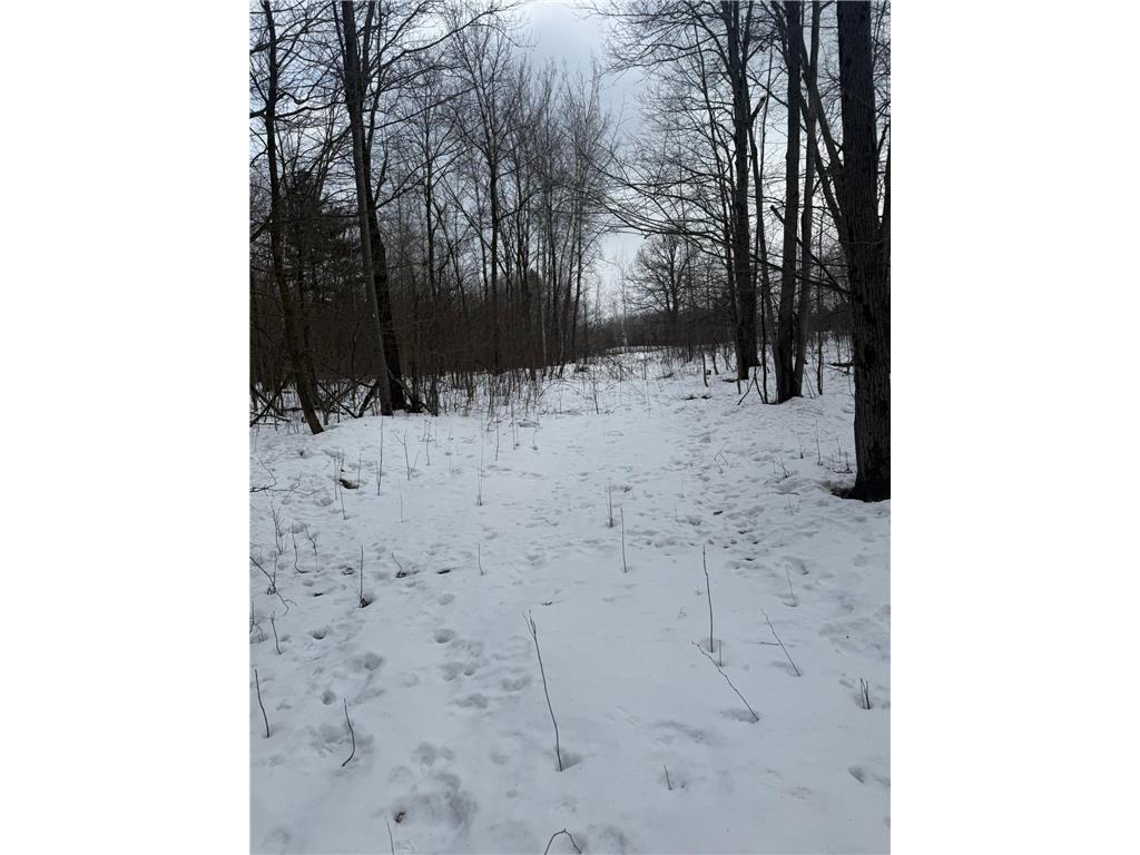 9th. 9th. St. Lakeland Twp WI 54813 7032034 image9